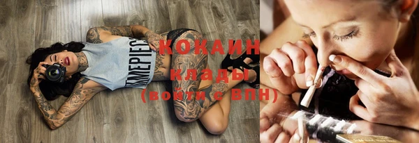 стафф Аркадак